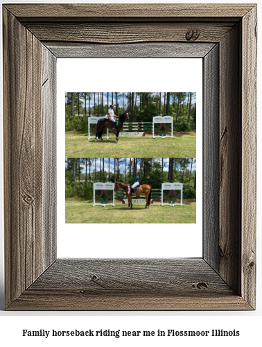 family horseback riding near me in Flossmoor, Illinois